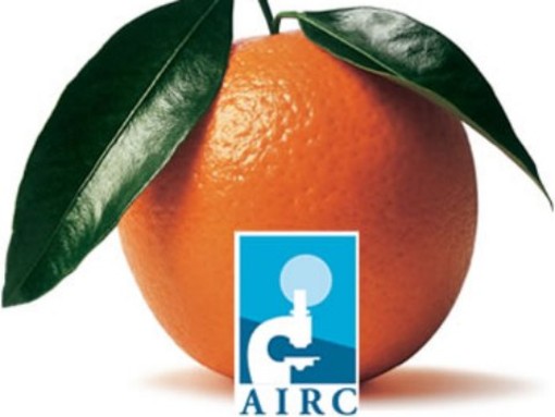 Arance contro il cancro: il prossimo week end torna l’iniziativa dell’AIRC