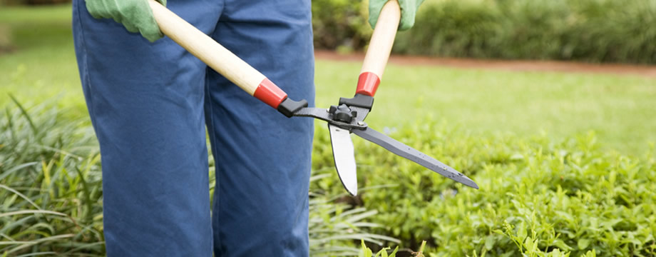 lavoro occasionale