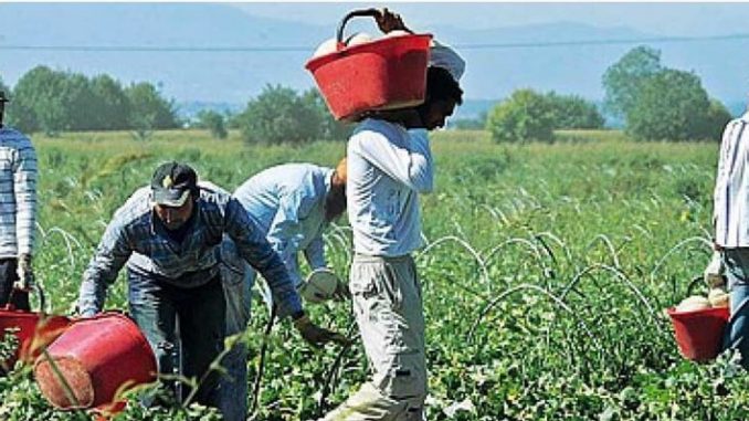 lavoro in nero lavoro in nero