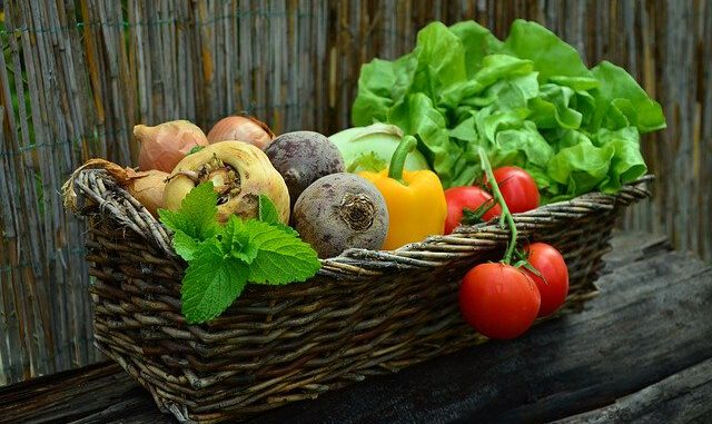 Coltivazione biologica: di che si tratta e quali sono i requisiti in Italia?