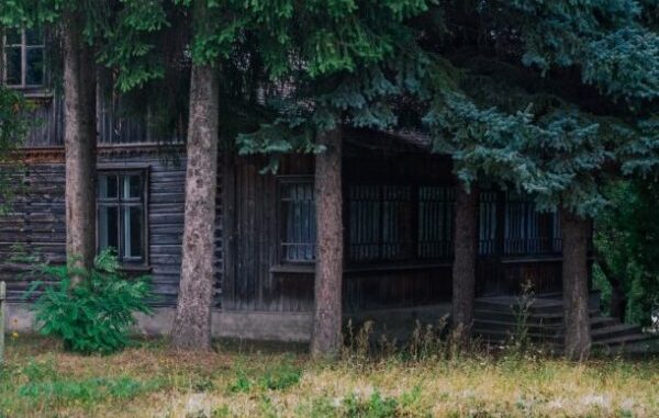 norma per piantare gli alberi