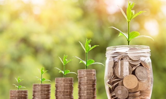 Lavoro e ambiente: 7 idee per operare nell'economia green